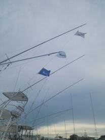 Virginia Beach Report Photo 2