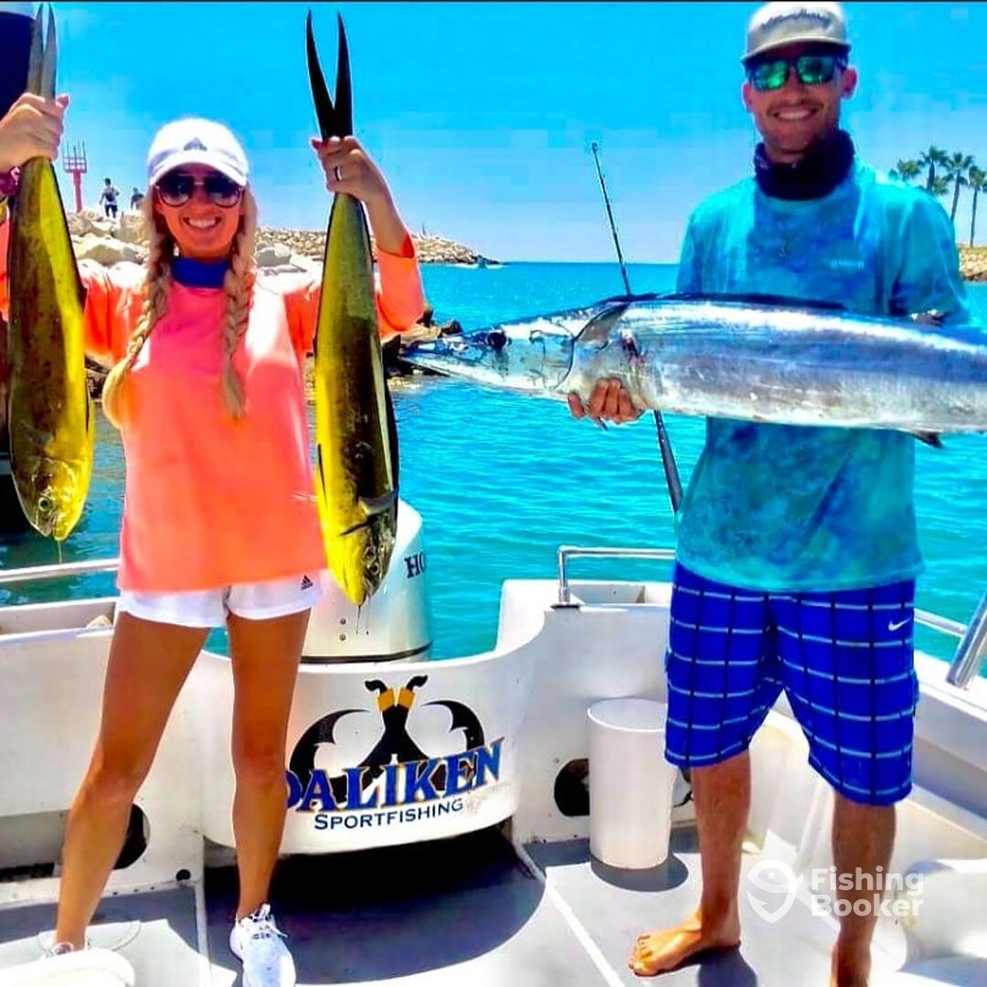 San Jose del Cabo Report Photo 0