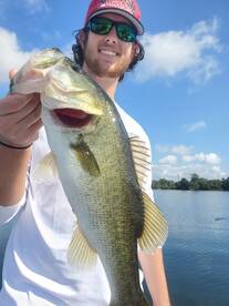 Orlando Report Photo 1