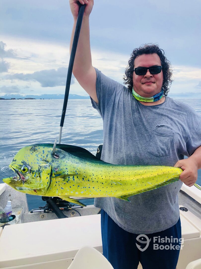 Puerto Vallarta Report Photo 0