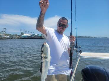 Port Orange Report Photo 1