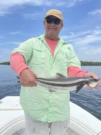 Holmes Beach Report Photo 1