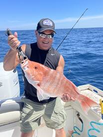 Belleair Bluffs Report Photo 2