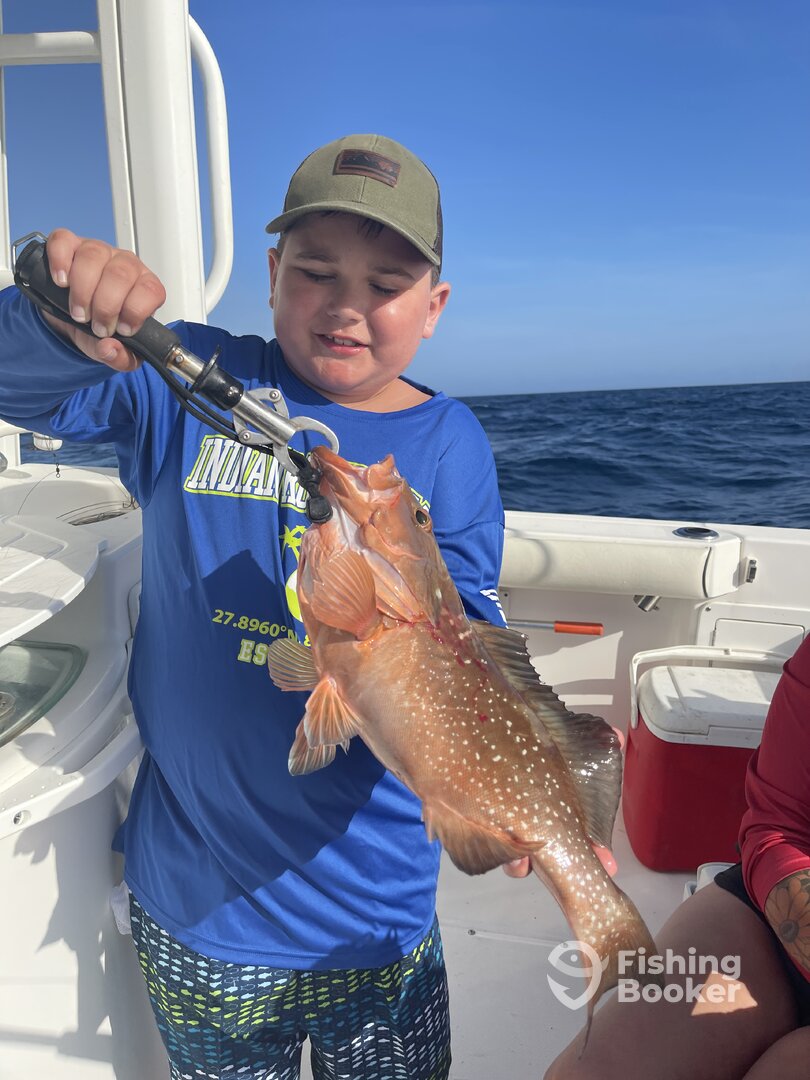 Belleair Bluffs Report Photo 0