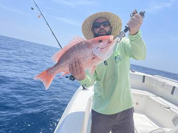 Belleair Bluffs Report Photo 2
