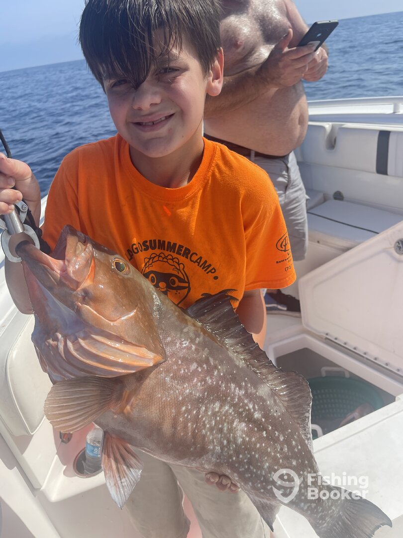 Belleair Bluffs Report Photo 0