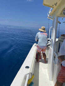 Belleair Bluffs Report Photo 1