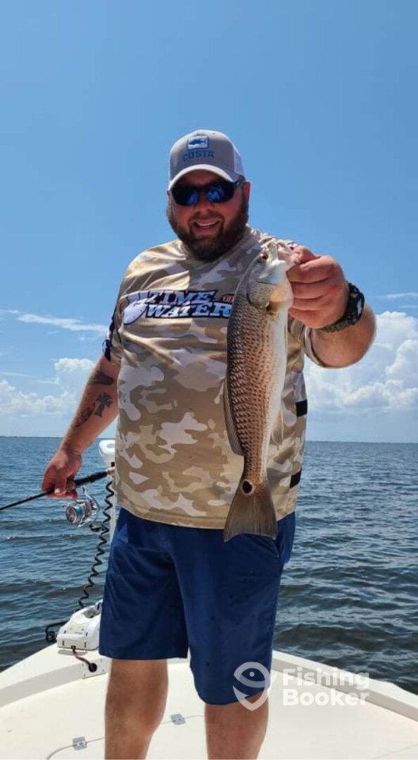 Clearwater Report Photo 0
