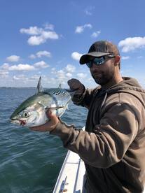 Dennis Report Photo 2