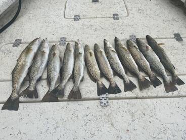 Beaufort Report Photo 1