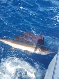 Cancún Report Photo 1