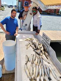 Hurricane Ida brought The Trout Inn