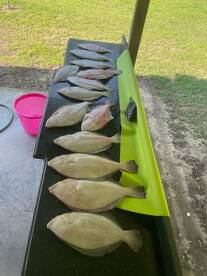 Fishing is hot