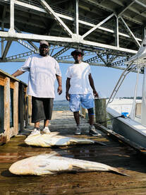 Gloucester Point Report Photo 2