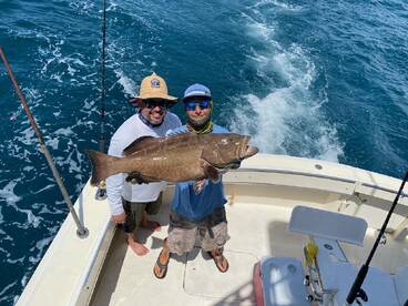 Grouper on the troll