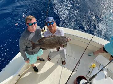 Black Grouper