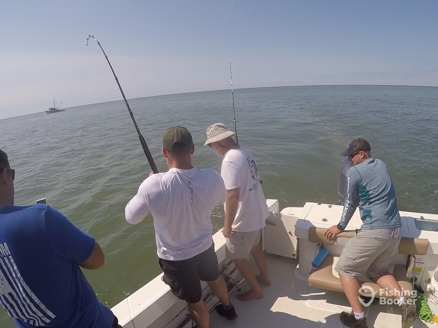 For some reason, this shark doesn't like the boat