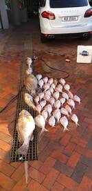 Durban Report Photo 2