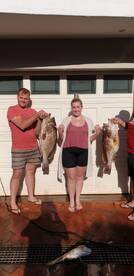 Durban Report Photo 1