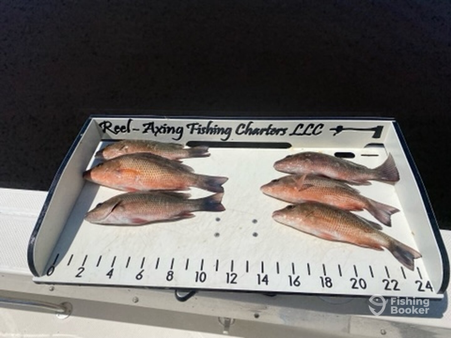 Port Orange Report Photo 0