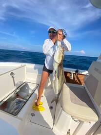 35lb Cobia