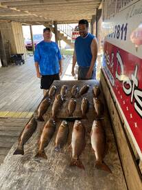 New Orleans Report Photo 1