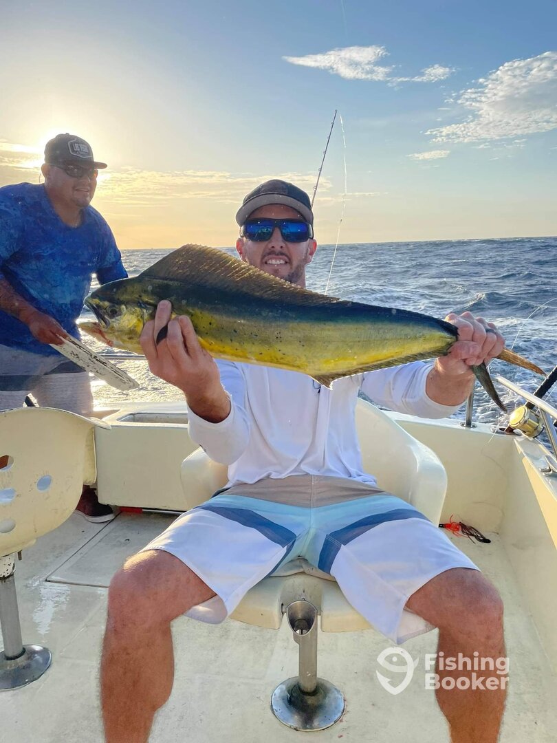 Cabo San Lucas Report Photo 0