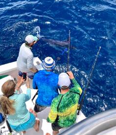 Quepos Report Photo 2