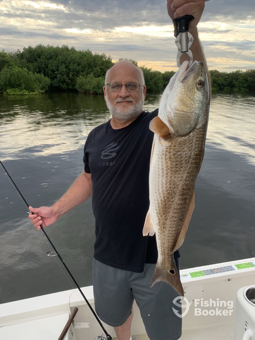Clearwater Report Photo 0