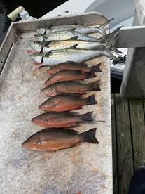 Early signs of fall fishing around Anna 