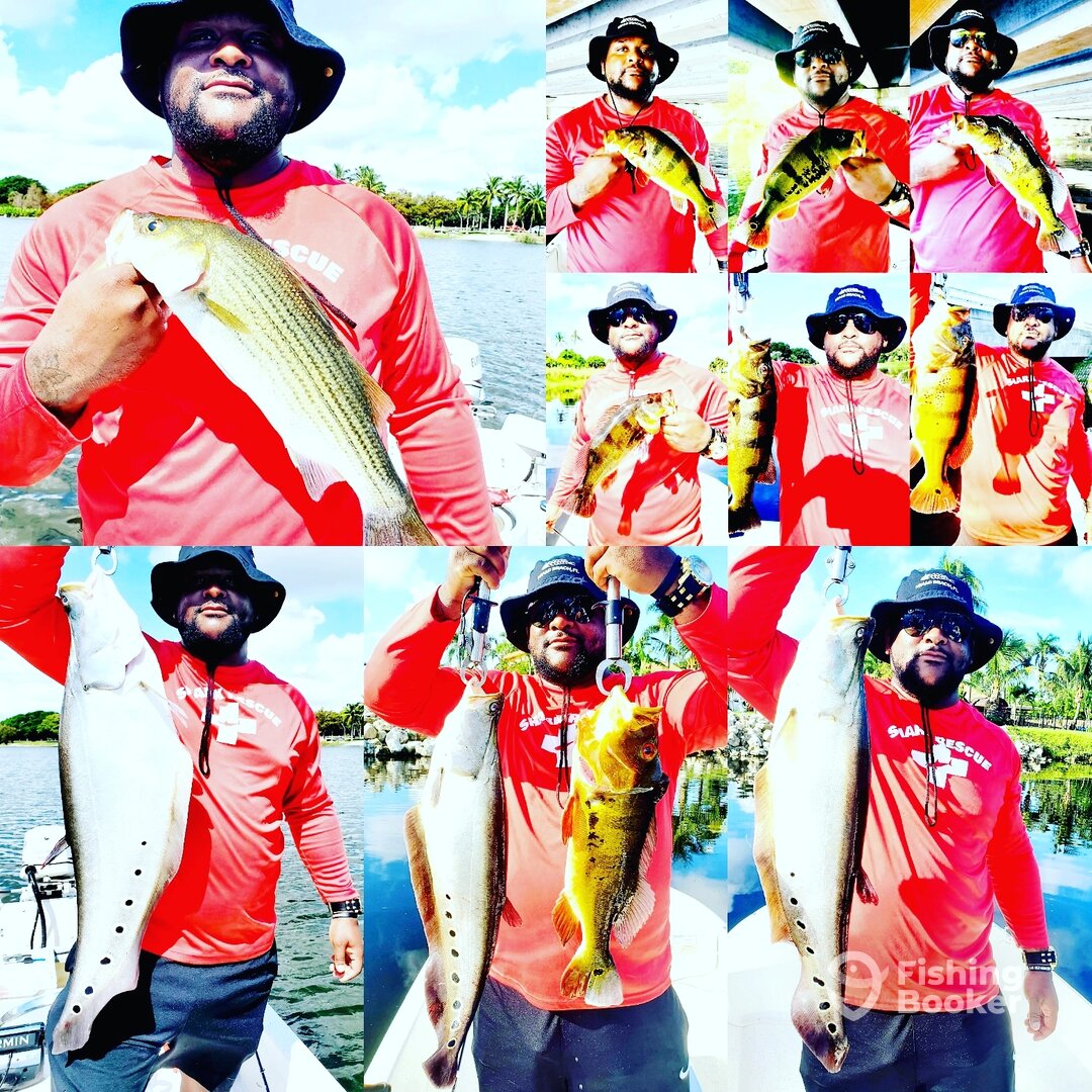 Delray Beach Report Photo 0
