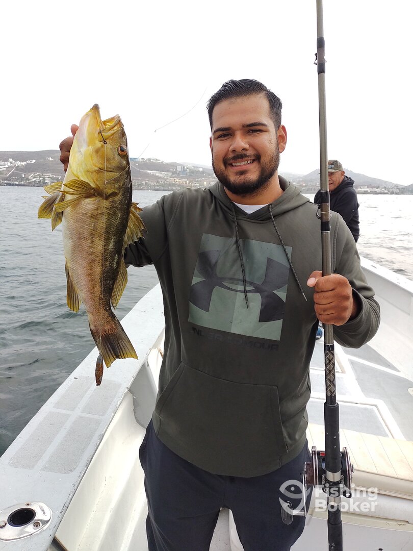 Ensenada Report Photo 0