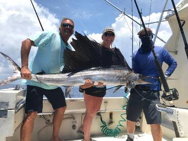 Sailfish