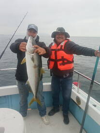 Ensenada Report Photo 1