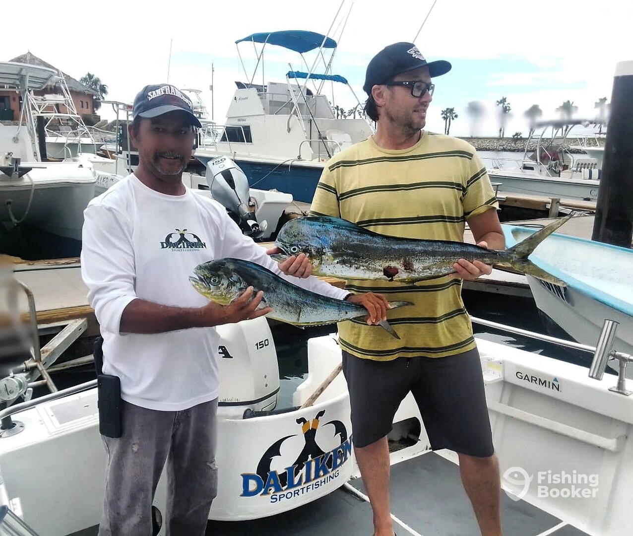 San Jose del Cabo Report Photo 0