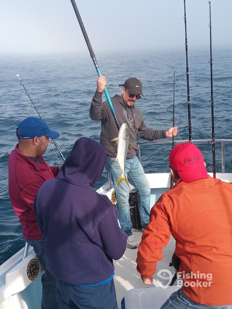 Ensenada Report Photo 0