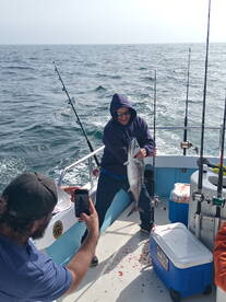 Ensenada Report Photo 2