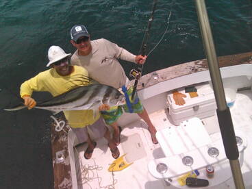 Great inshore action
