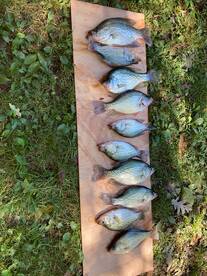 Morning trip 09-23-2021