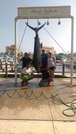 Puerto Vallarta Report Photo 1