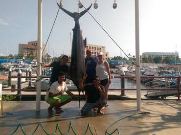 Full day marlin fishing 