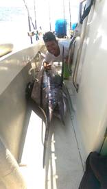 Puerto Vallarta Report Photo 2