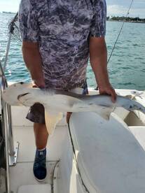 Port Canaveral Report Photo 2