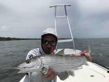 Key Biscayne Report Photo 2