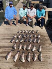 4 Limits of Redfish & Black Drum