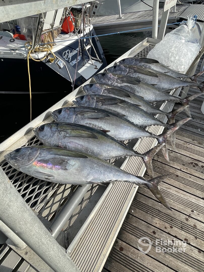 Boynton Beach Report Photo 0