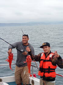 Ensenada Report Photo 2