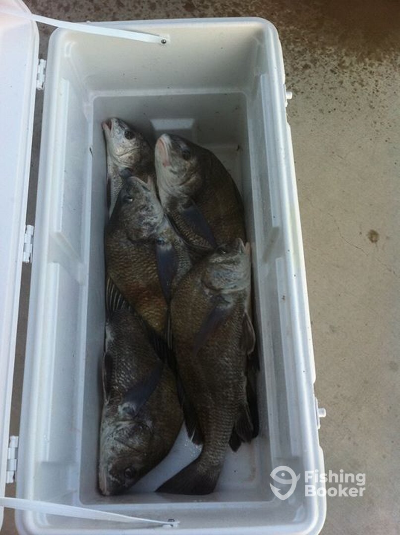 Port O'Connor Report Photo 0