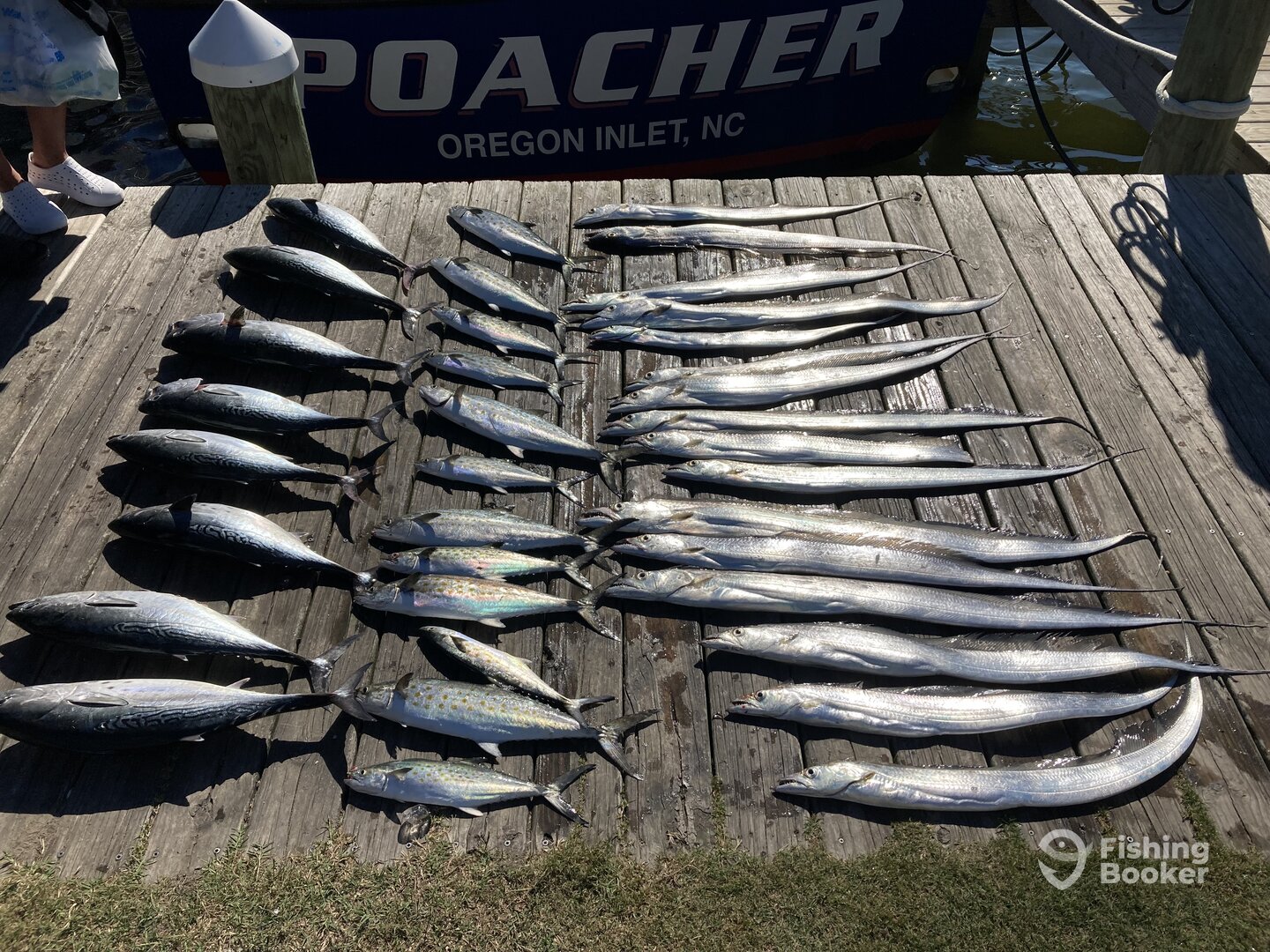 Nags Head Report Photo 0