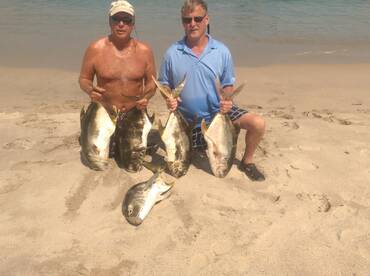 Yellow tail jack or jack caravelle 